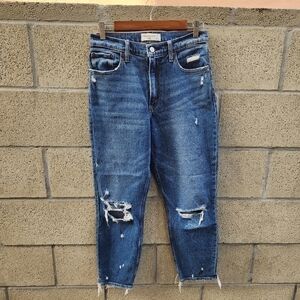 Abercrombie Fitch High Rise Mom Jeans Blue Wash Womens Size 27